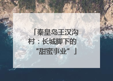 秦皇岛王汉沟村：长城脚下的“甜蜜事业”