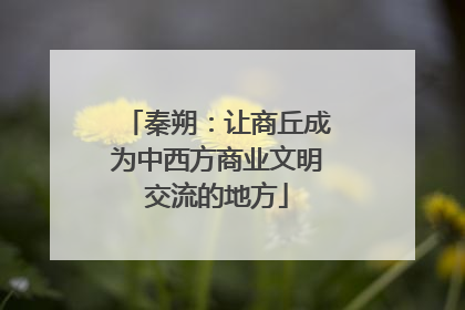 秦朔：让商丘成为中西方商业文明交流的地方