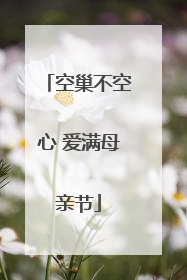 空巢不空心 爱满母亲节