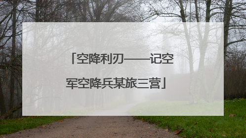 空降利刃——记空军空降兵某旅三营