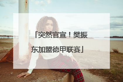 突然官宣！樊振东加盟德甲联赛
