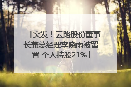 突发！云路股份董事长兼总经理李晓雨被留置 个人持股21%