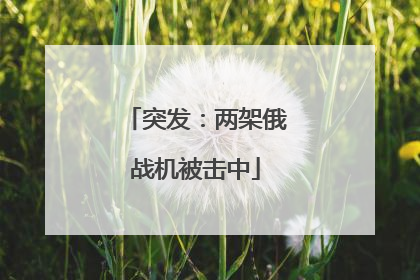 突发：两架俄战机被击中