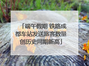 端午假期 铁路成都车站发送旅客数量创历史同期新高