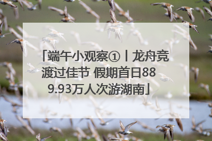 端午小观察①丨龙舟竞渡过佳节 假期首日889.93万人次游湖南