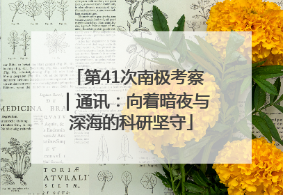 第41次南极考察｜通讯：向着暗夜与深海的科研坚守