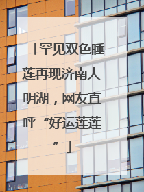 罕见双色睡莲再现济南大明湖，网友直呼“好运莲莲”