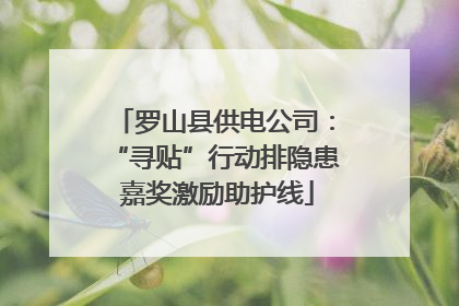 罗山县供电公司：“寻贴”行动排隐患 嘉奖激励助护线