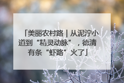 美丽农村路｜从泥泞小道到“精灵动脉”，德清有条“虾路”火了