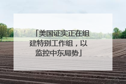 美国证实正在组建特别工作组，以监控中东局势