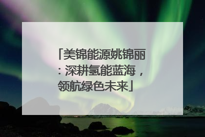 美锦能源姚锦丽：深耕氢能蓝海，领航绿色未来