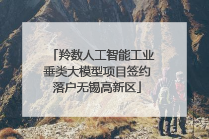 羚数人工智能工业垂类大模型项目签约落户无锡高新区