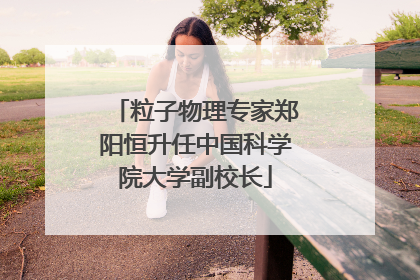 粒子物理专家郑阳恒升任中国科学院大学副校长