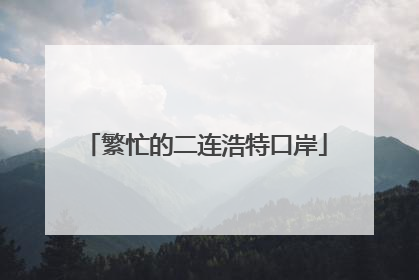 繁忙的二连浩特口岸