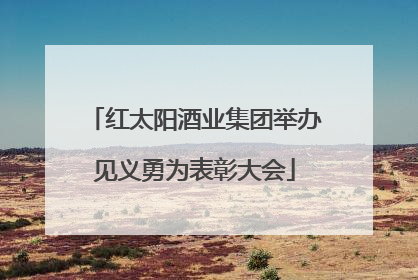 红太阳酒业集团举办见义勇为表彰大会