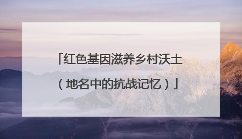 红色基因滋养乡村沃土（地名中的抗战记忆）