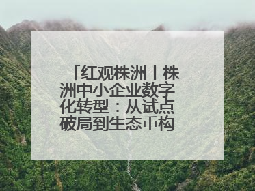 红观株洲丨株洲中小企业数字化转型：从试点破局到生态重构的进阶之路