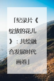 纪录片《绽放的花儿》：共绘融合发展时代画卷