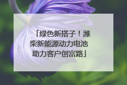 绿色新搭子！潍柴新能源动力电池助力客户创富路