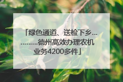 绿色通道、送检下乡…………德州高效办理农机业务4200多件