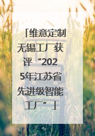 维意定制无锡工厂获评“2025年江苏省先进级智能工厂”