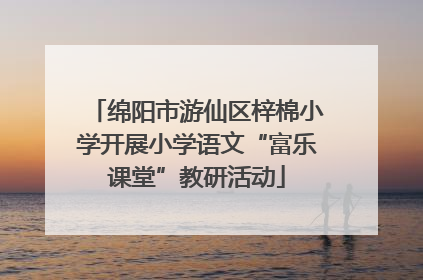 绵阳市游仙区梓棉小学开展小学语文“富乐课堂”教研活动