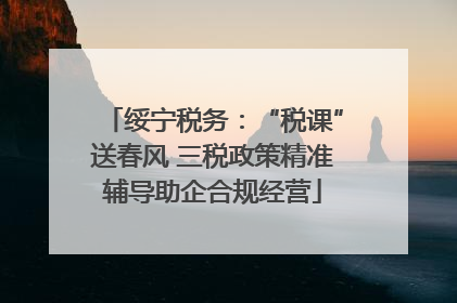 绥宁税务：“税课”送春风 三税政策精准辅导助企合规经营