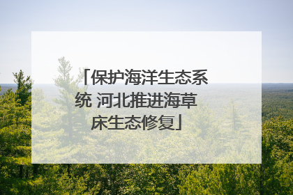 保护海洋生态系统 河北推进海草床生态修复
