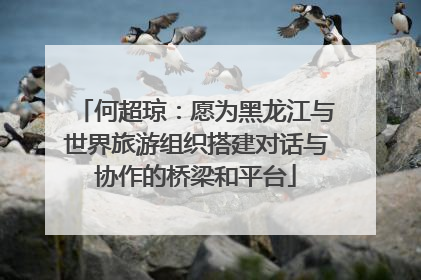 何超琼：愿为黑龙江与世界旅游组织搭建对话与协作的桥梁和平台
