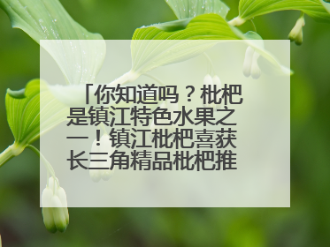 你知道吗？枇杷是镇江特色水果之一！镇江枇杷喜获长三角精品枇杷推选金奖