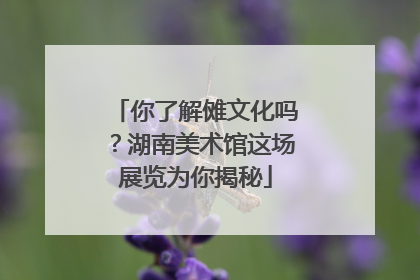 你了解傩文化吗？湖南美术馆这场展览为你揭秘