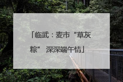 临武：麦市“草灰粽” 深深端午情