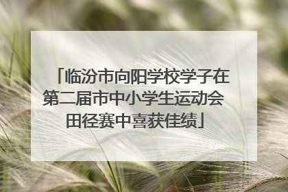 临汾市向阳学校学子在第二届市中小学生运动会田径赛中喜获佳绩