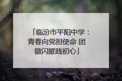 临汾市平阳中学：青春向党担使命 团徽闪耀践初心