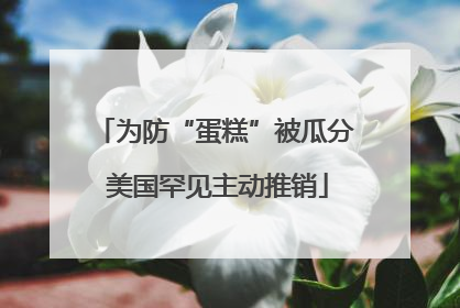 为防“蛋糕”被瓜分 美国罕见主动推销
