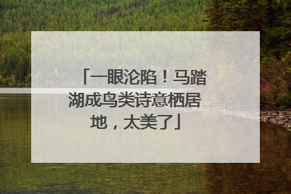 一眼沦陷！马踏湖成鸟类诗意栖居地，太美了