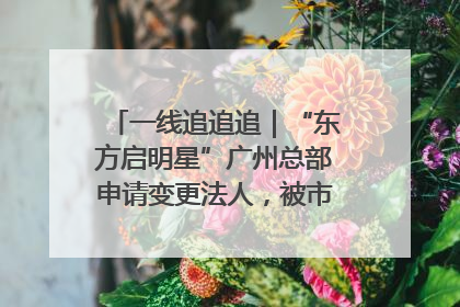 一线追追追｜“东方启明星”广州总部申请变更法人，被市场监管部门限制
