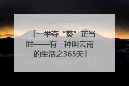 一举夺“葵”正当时——有一种叫云南的生活之365天