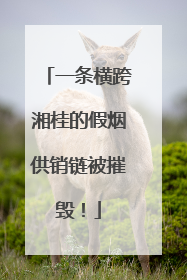 一条横跨湘桂的假烟供销链被摧毁！