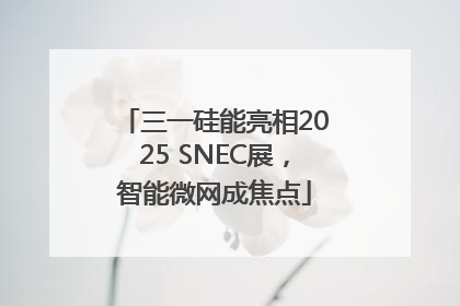 三一硅能亮相2025 SNEC展，智能微网成焦点