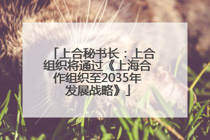 上合秘书长：上合组织将通过《上海合作组织至2035年发展战略》