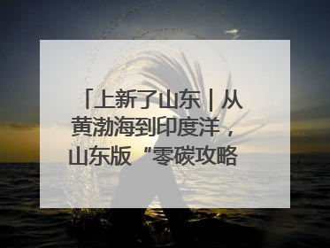 上新了山东｜从黄渤海到印度洋，山东版“零碳攻略”有多能打？
