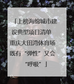 上榜海绵城市建设典型项目清单 重庆大田湾体育场既有“弹性”又会“呼吸”