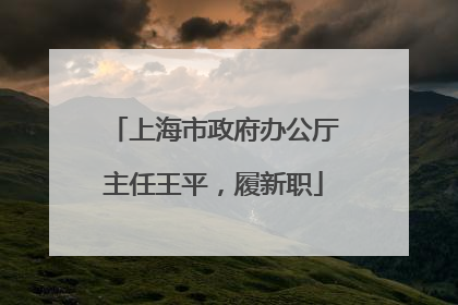 上海市政府办公厅主任王平，履新职