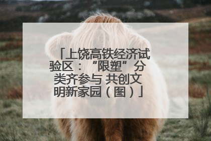 上饶高铁经济试验区：“限塑”分类齐参与 共创文明新家园（图）