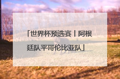 世界杯预选赛丨阿根廷队平哥伦比亚队