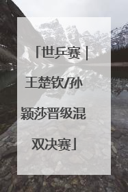 世乒赛｜王楚钦/孙颖莎晋级混双决赛