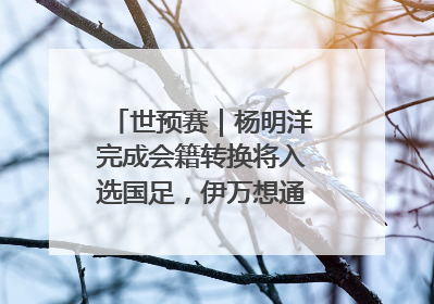 世预赛｜杨明洋完成会籍转换将入选国足，伊万想通了要打双后腰？