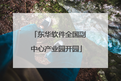 东华软件全国副中心产业园开园
