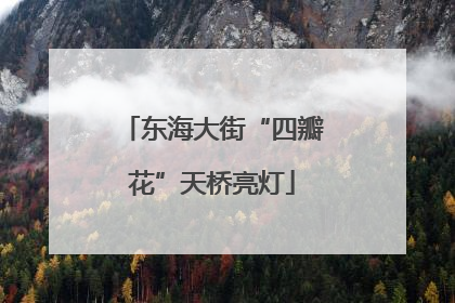 东海大街“四瓣花”天桥亮灯